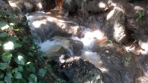 Nature's Hidden Flow Stock Footage 333122338