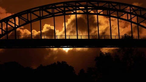 Nature's Landscape: Bridge and Trees Silhouette Video stock 239907734