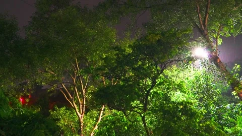 Nature's Light Show with Rain Timelapse Stock Footage 335515142