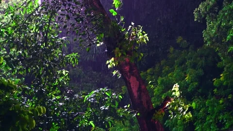 Nature's Light Show with Rain Timelapse Stock Footage 335515212