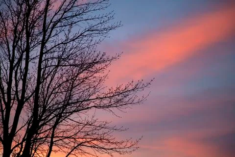 Nature's Palette Photos