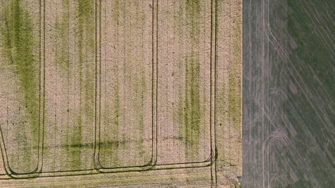 Nature's Patchwork: Aerial Geometrical Shapes of Diverse Fields Stock Footage 254689382