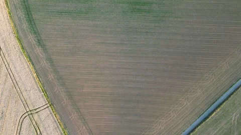 Nature's Patchwork: Aerial Geometrical Shapes of Diverse Fields Stock Footage 254689794