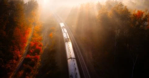 Nature's Pathways: A Drone's Glimpse of Forest Railroads 스톡 사진