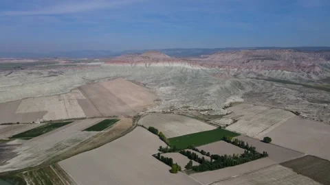 Nature's Patterns Stock Footage 332000689