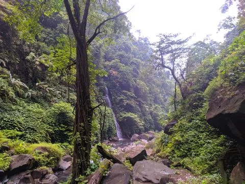 In Nature's Stockfoto's