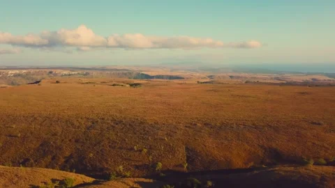 Nature’s poetry in motion Stock Footage 304883119