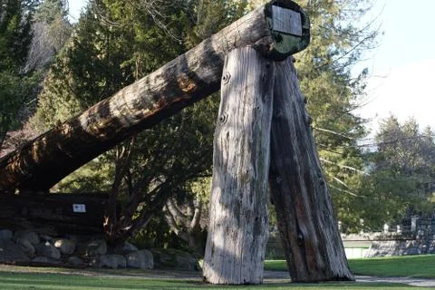 Nature's protector Stock Photos