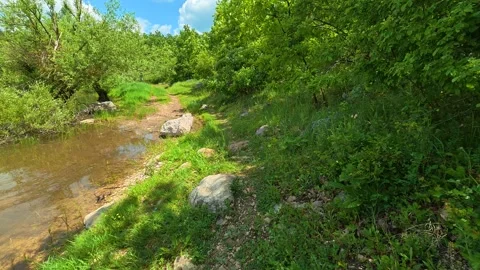 Nature's quiet charm invites calm exploration. Vrmdza Lake, Serbia Stock Footage 338024378