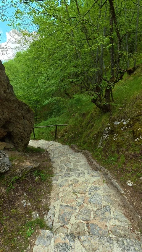 Nature's quiet path winds through lush greenery. Gostilje, Serbia. Vertical Stock Footage 337061635