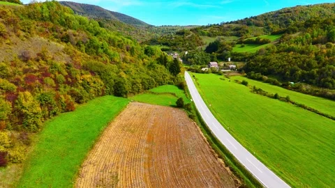 Natures Quiet Symphony Stock Footage 313786630