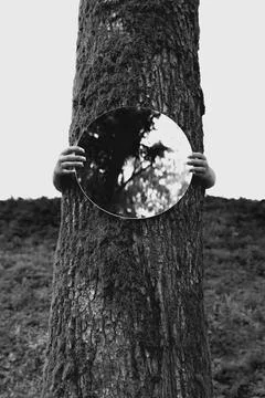 Nature's Reflection Stock Photos