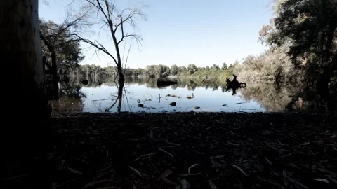 Nature’s Reflection at a Serene Lake Stock Footage 301295319