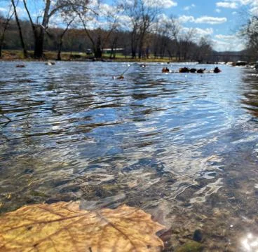 Nature's River in the Fall Stock Photos