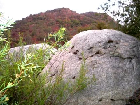 Natures Sculptures Stock Photos