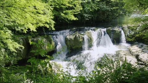Nature'S Serenity And Environmental Conservation, This depicts nature s Vidéo 334669016