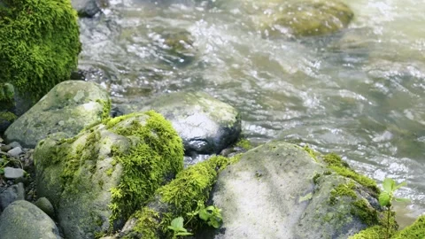 Nature'S Serenity And Environmental Wellness, This footage is projects focusing Vidéo 334669162