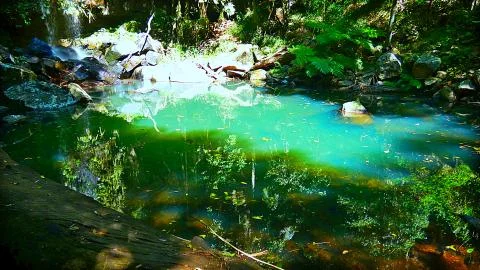 Natures Spring Stock Photos