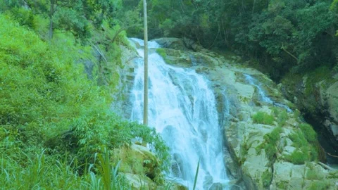 Nature's Symphony: Waterfall Surrounded by Verdant Forest Stock Footage 282080858