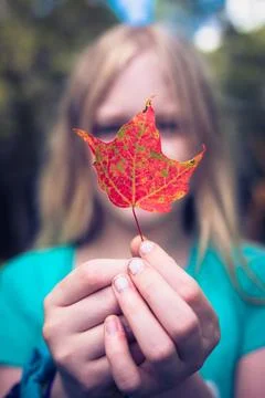 Nature's Tender Touch Stock Photos