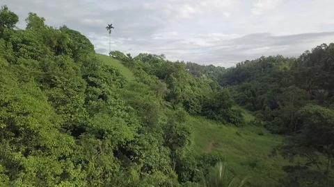 Nature's Trail Stockbeeldmateriaal 129847358