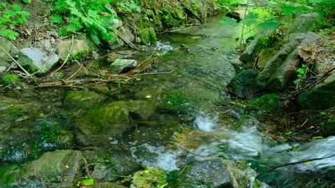Nature's Tranquil Haven: Serene Forest Stream and Mossy Rocks in 4 Stock Footage 248601404