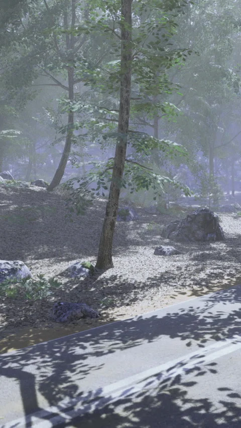 Natures tranquil path through a misty forest landscape Stock Footage 341397517