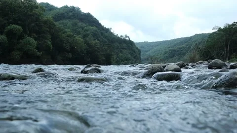 Nature's Tranquility: Graceful River Flow Over Pebbles in 4K Video stock 241908553