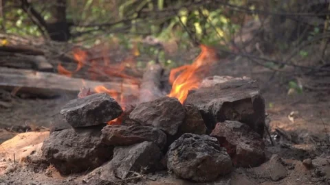 Nature's warmth: slow motion campfire 스톡 동영상 237005261