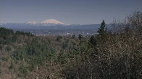 Naturescape with mountain Stock Footage