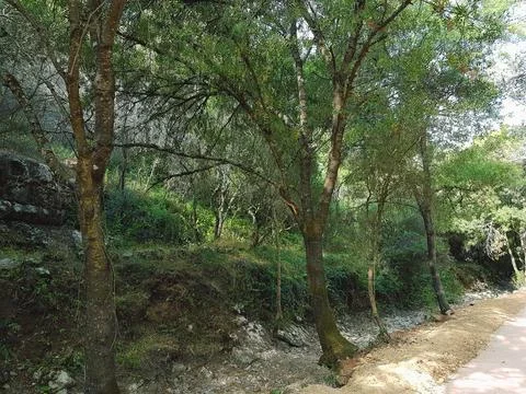 NatureTrail DryRiver2 Stock Photos