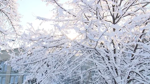 Nature.Winter.City Video stock 85233089