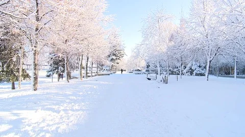 Nature.Winter.City Video stock 85322823