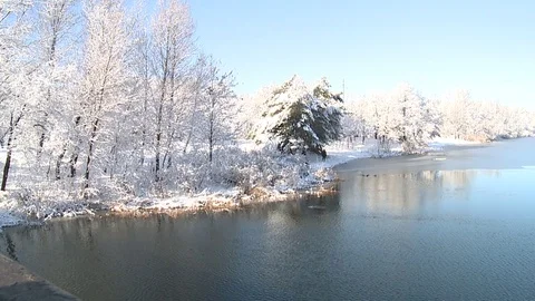 Nature.winter.ducks on the river in the city Video stock 85322844