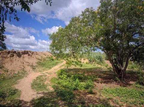 Natureza 库存照片