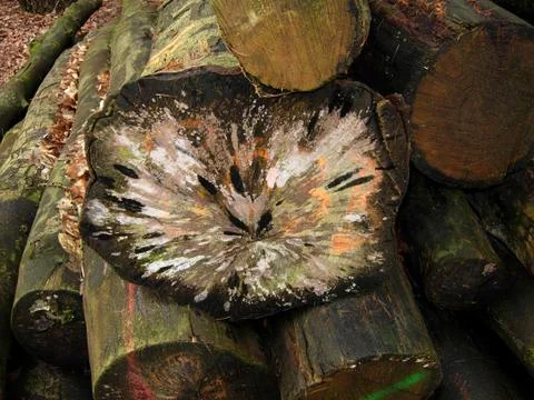 Naturkunst Stock Photos