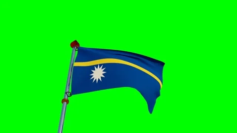 Nauru Flag in 3D Stock Footage 158273563