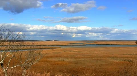 Nauset Marsh; 3 Stock Footage 10687428