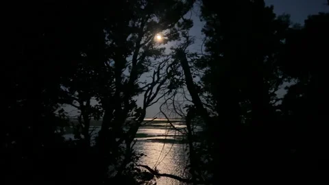 Nauset Marsh by Moonlight at Eastham, Cape Cod Stock Footage 201219965