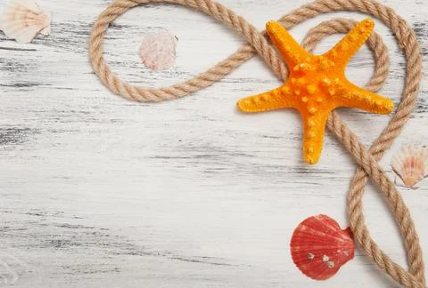 Nautical background with ropes, shells and starfish 스톡 사진