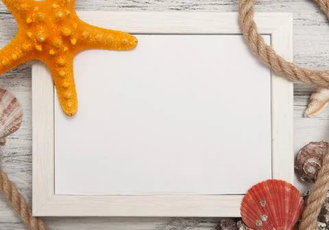 Nautical background with ropes, shells and starfish Stock Photos