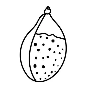 Nautical contour drawing of a shell, ideal for stationery or minimalist sty.. Stock Illustration