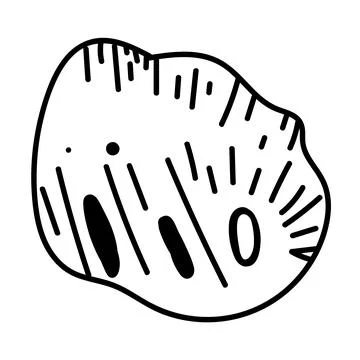 Nautical contour drawing of a shell, ideal for stationery or minimalist sty.. Stock Illustration