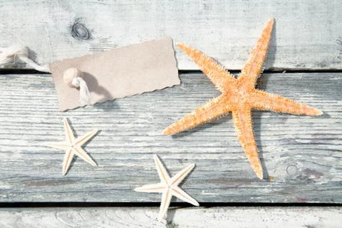 Nautical starfish background Stock Photos