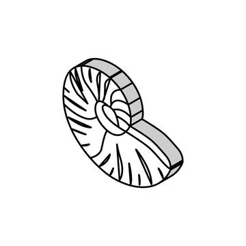 Nautilus sea shell beach isometric icon vector illustration Stock Illustration