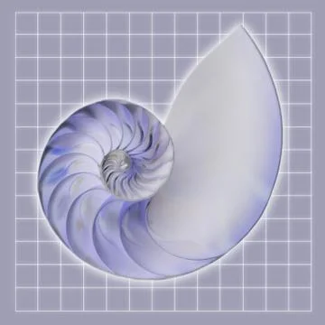 Nautilus shell against grid background Stock Illustration