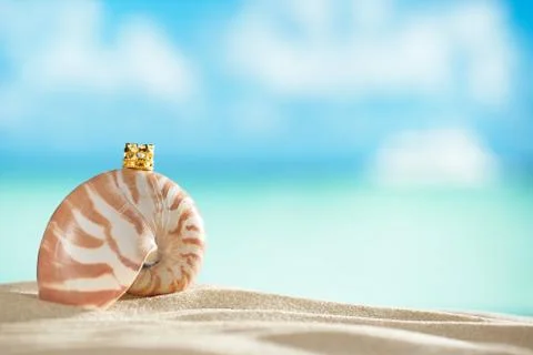 Nautilus shell and crown  with ocean , beach and seascape, shall Stock Photos