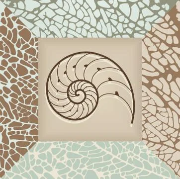 Nautilus shell background. Stock Illustration