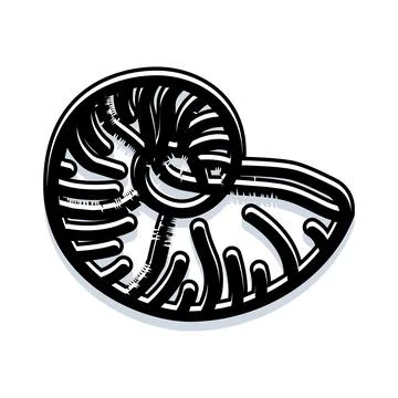 Nautilus shell black and white spiral design Stock Illustration