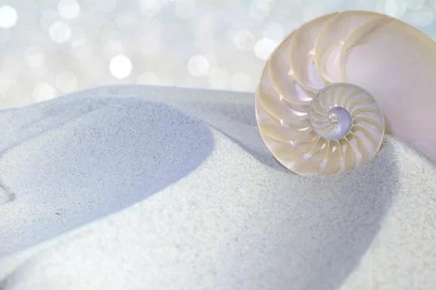 Nautilus shell cut Stock Photos